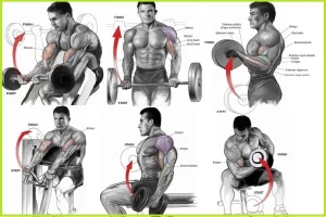 Number 1 Fast Ways to Force Biceps Muscle Growth: Prioritize Bicep Isolation Exercises