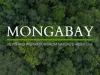 How to Apply For Mongabay Internship Program 2024