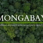 Mongabay Internship Program 2024