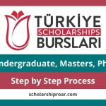 How to Apply for the Turkey Government Scholarship 2024