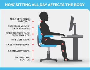 Prolonged Sitting: Risks, Effects, Prevention