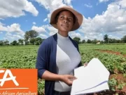 Apply Now for IITA Youth in Agribusiness Training Program IITA
