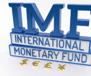 international monetary fund (IMF)