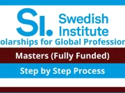 Swedish Institute (SI) Global Executive Program 2024 for business executives (Fully Funded) Swedish Institute