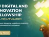 African Union (AU) Digital and Innovation Fellowship Program