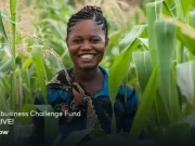 APPLY: Mastercard Foundation Agribusiness Challenge Fund for African SMEs Mastercard Foundation
