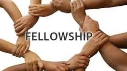 Funded ISPA Netherland 205/2027 Fellowship Program