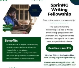 Sprinng Writing Fellowship Online Mentorship Program