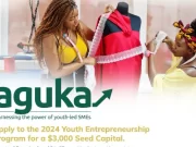 APPLY: Tony Elumelu Foundation/UNDP Aguka Ideation Entrepreneurship Program 2024 Tony Elumelu Foundation and UNDP Aguka Ideation Entrepreneurship Program