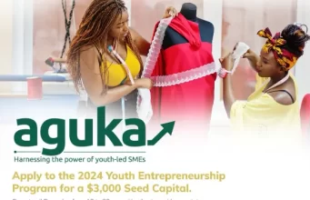 Tony Elumelu Foundation and UNDP Aguka Ideation Entrepreneurship Program