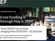 APPLY: Women in Digital Economy Fund (WiDEF) Grants Program 2024 Women in the Digital Economy Fund