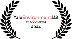 Yale Environment 360 Film Contest 2024