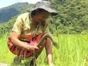 APPLY: Business Incubator and Accelerator Program: FAO 2024 Business Incubator and Accelerator Program