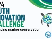 APPLY: Global Environmental Education Partnership (GEEP) Youth Innovation Challenge 2024 Global Environmental Education Partnership