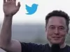 Elon musk X