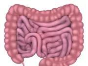 Gut health – Everything you should Know Gut Health - Everything you need to know