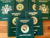 FG Nigerian International Passport