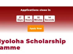 ACT Nyoloha Scholarship Programme 2025 for Young South African Artists