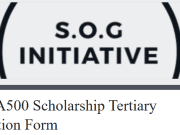 Alex and Grace Izinyon Foundation Scholarship 2025 Alex and Grace Izinyon Foundation Scholarship 2025