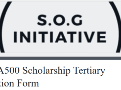 Alex and Grace Izinyon Foundation Scholarship 2025