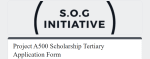 Alex and Grace Izinyon Foundation Scholarship 2025