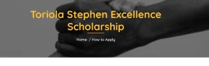 Toriola Stephen Excellence Scholarship 2025