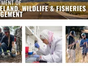 Fully Funded Miami University of Ohio Graduate Assistantship 2026 in Population Biology and Genomics of Invasive Starlings Apply for the fully funded Miami University of Ohio Graduate Scholarship. It covers full tuition, a $20,000 stipend, and a summer salary for Masters and PhD students.