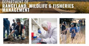 Apply for the fully funded Miami University of Ohio Graduate Scholarship. It covers full tuition, a $20,000 stipend, and a summer salary for Masters and PhD students.
