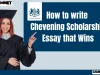 A comprehensive guide on How to write Chevening Scholarship Essay that Wins. Learn how to structure and write essays on leadership, networking, career plans, and course choice.