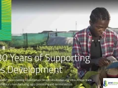 Afreximbank Internship Program 2026 for Undergraduates and Postgraduates in Africa