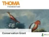 Thoma Foundation Conservation Grant 2026 focused on South American viceregal art Research Thomas Foundation Conservation Grant 2026 focused on South American viceregal art Research