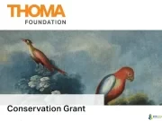 Thoma Foundation Conservation Grant 2026 focused on South American viceregal art Research Thomas Foundation Conservation Grant 2026 focused on South American viceregal art Research