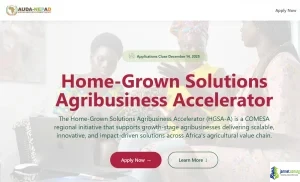 AUDA-NEPAD Home-Grown Solutions Agribusiness Accelerator (HGSA-A) Program 2026 for African Businesses