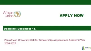 Fully Funded African Union Pan African University (PAU) Scholarships 2026