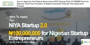 How to Apply for the Federal Government NiYA Startup Pitch 2.0 (₦100M Grant for Nigerian Youth Tech Founders & Digital Innovation)