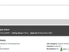 Mintek HR System Analyst Intern