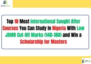 Top 10 Most International Sought After Courses You Can Study In Nigeria With Low JAMB Cut-Off Marks (140–180) and Win a Scholarship for Masters
