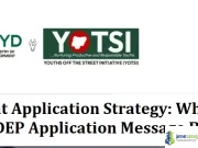 YEIDEP Grant Application Strategy: What do You write in YEIDEP Application Message Box YEIDEP Grant Application Strategy - What do You write in YEIDEP Application Message Box