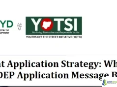 YEIDEP Grant Application Strategy: What do You write in YEIDEP Application Message Box YEIDEP Grant Application Strategy - What do You write in YEIDEP Application Message Box