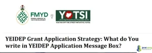 YEIDEP Grant Application Strategy - What do You write in YEIDEP Application Message Box