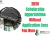2026 Scholarship Opportunities Without Application Fees You Need To Know