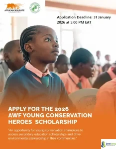 African Wildlife Foundation (AWF) Young Conservation Heroes Scholarship 2026 in Kenya