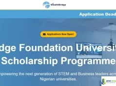 Bridge Foundation Universities Scholarship Programme 2026 For Undergraduate Students