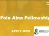 Dr Fola Aina Fellowship 2026 (Leadership Program for Young Nigerians)