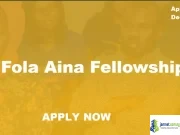 Dr Fola Aina Fellowship 2026 (Leadership Program for Young Nigerians)