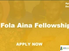 Dr Fola Aina Fellowship 2026 (Leadership Program for Young Nigerians)