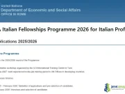 UN/DESA Italian Fellowships Programme 2026 for Italian Professionals UN/DESA Italian Fellowships Programme 2026 for Italian Professionals
