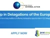 Funded EU Delegation Traineeships 2026 in Strasbourg for Young Graduates