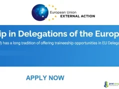 Funded EU Delegation Traineeships 2026 in Strasbourg for Young Graduates Funded EU Delegation Traineeships 2026 in Strasbourg for Young Graduates