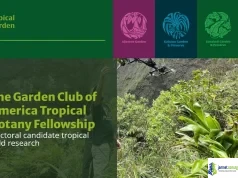 Garden Club of America Tropical Botany Fellowship 2026 for PhD Candidates (5,500 Grant)